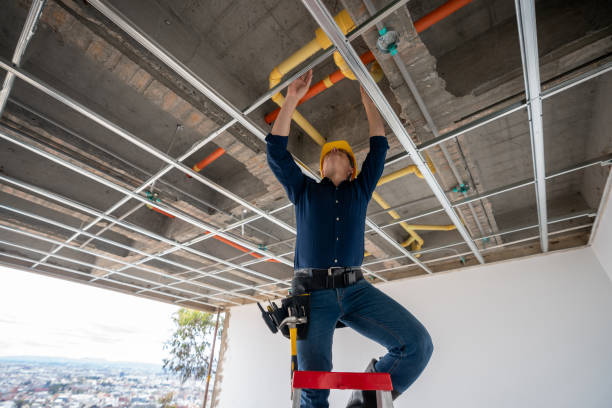 Best Water Leak Repair  in Carthage, MO