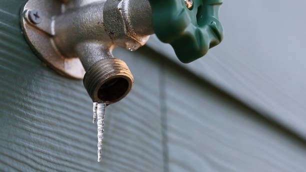 Best Affordable Plumbing Services  in Carthage, MO